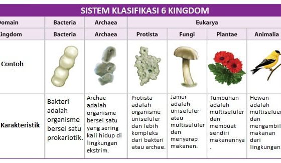 Manfaat Biologi Bagi Kehidupan Manusia Penerapan Ilmu Biologi