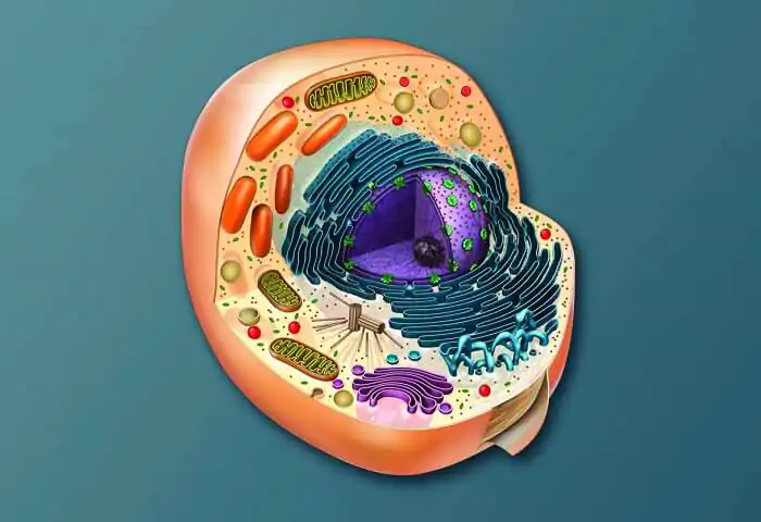 Biologi Sel: Panduan Lengkap untuk Pelajar dan Peneliti