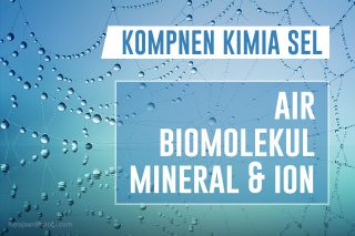  Komponen  Kimia Sel Hewan dan Tumbuhan Kerajaan Biologi